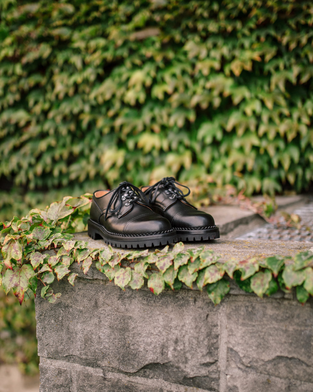 Lydon GW Black x SG Black