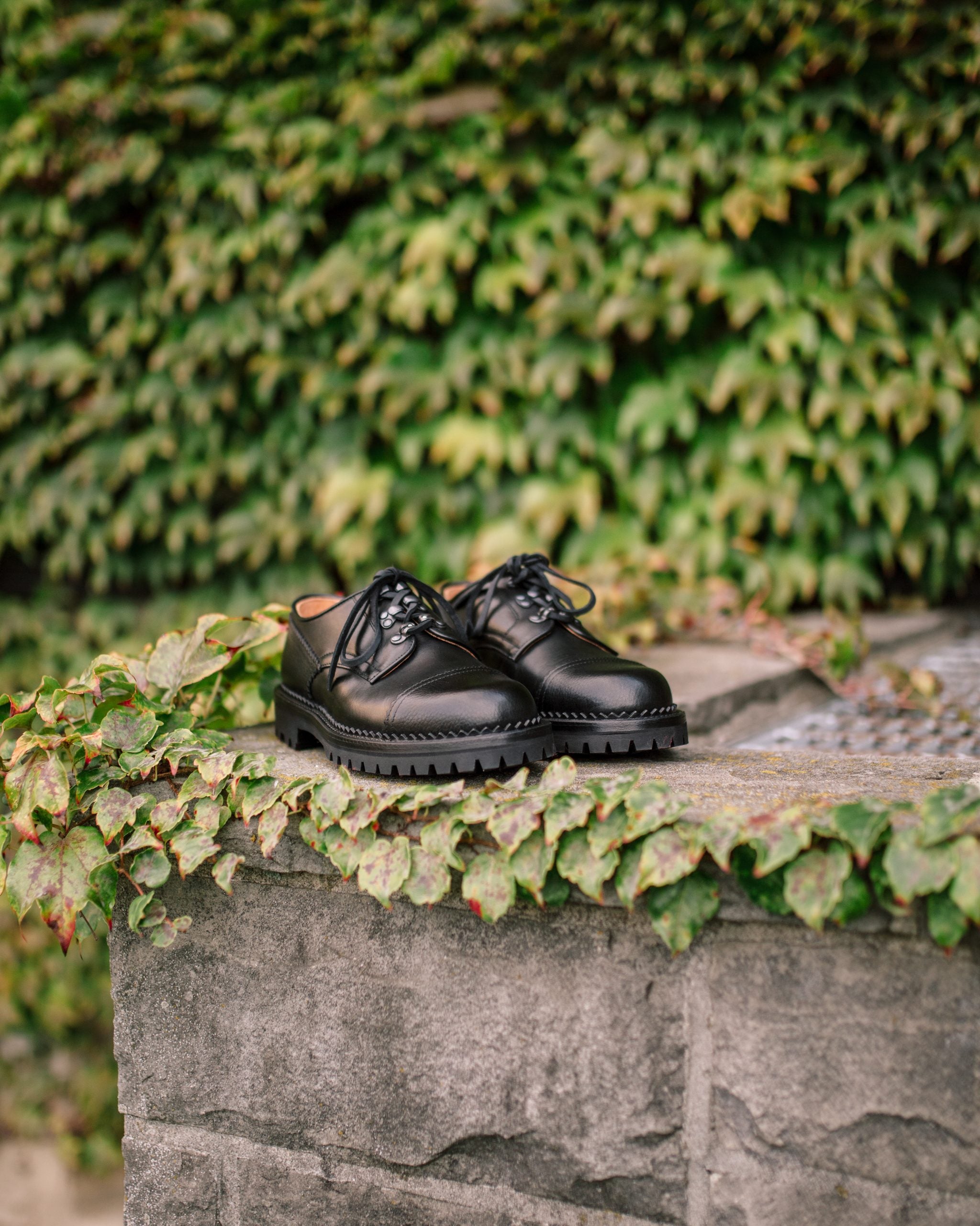 Lydon GW Black x SG Black