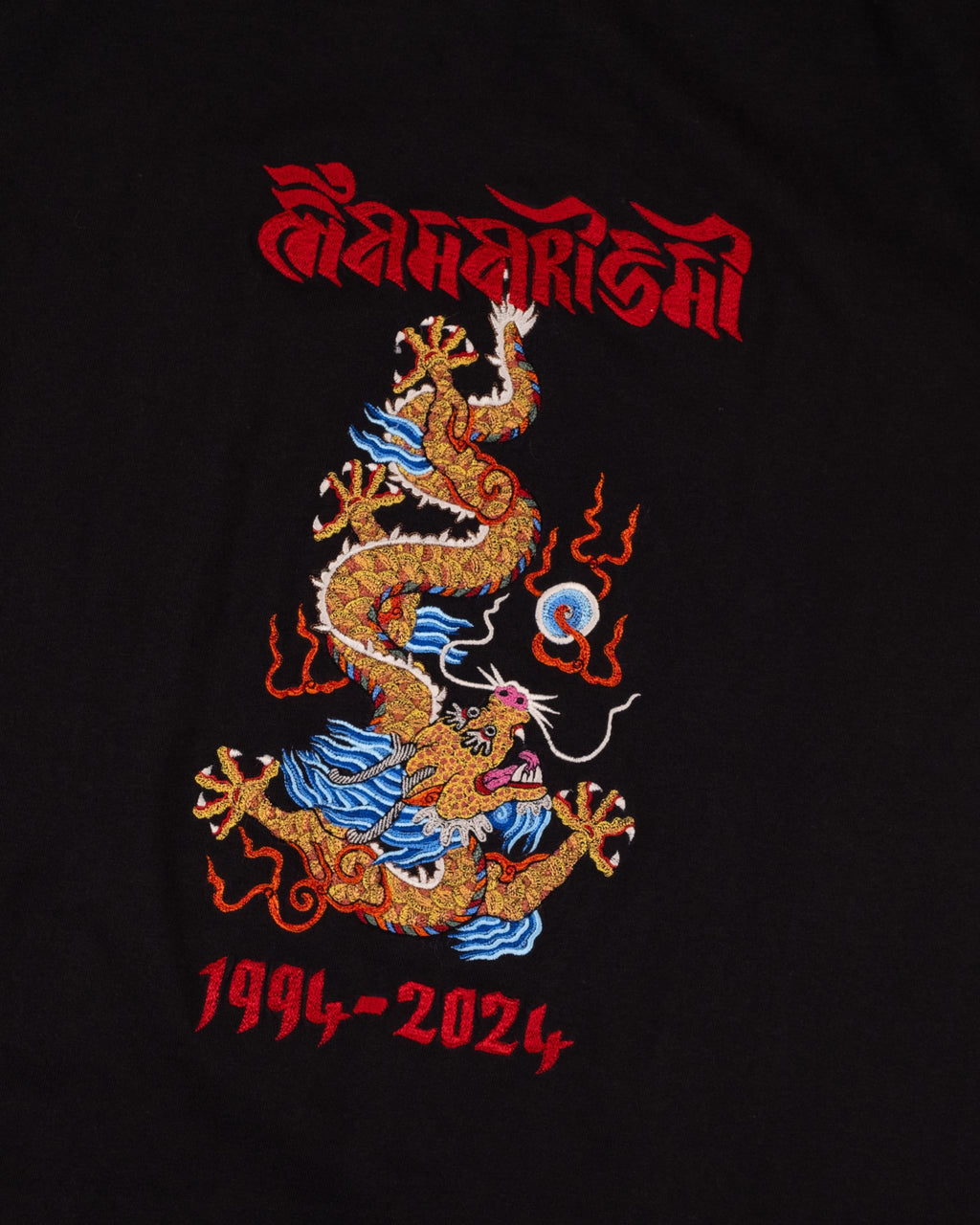 Descending Dragon Embroidered T-Shirt - Black