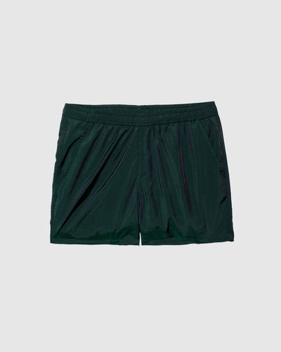 Iridescent Emerald Modern Trunk