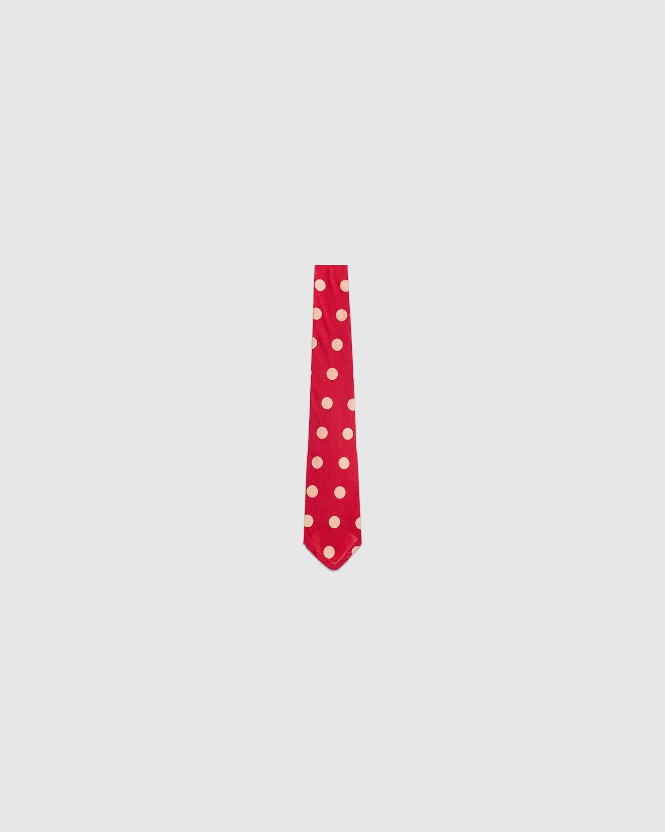 Bold Dot Print Rayon Tie Red