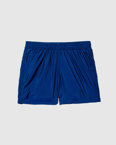 Iridescent Sapphire Modern Trunk