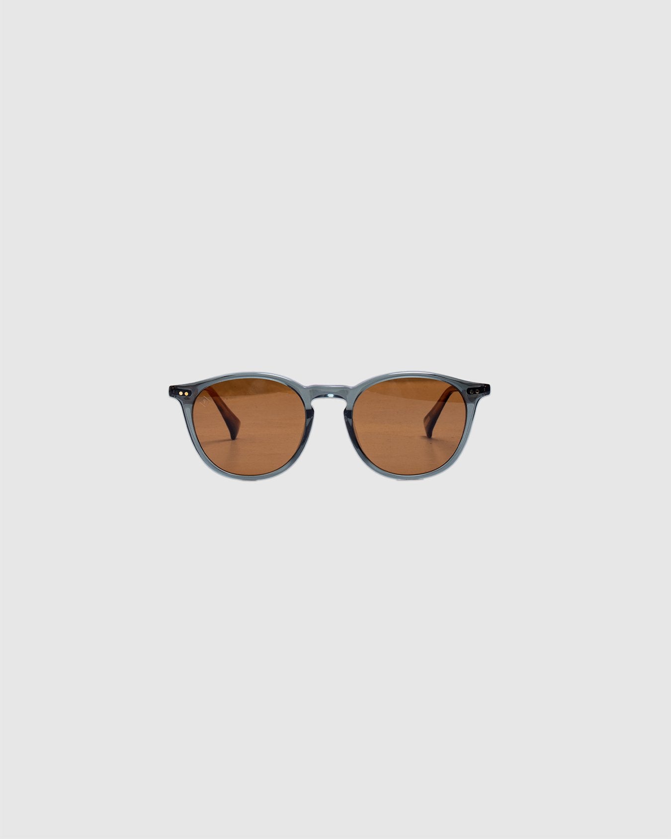 Basq 50 - Pinyon Grove/Vibrant Brown Polarized