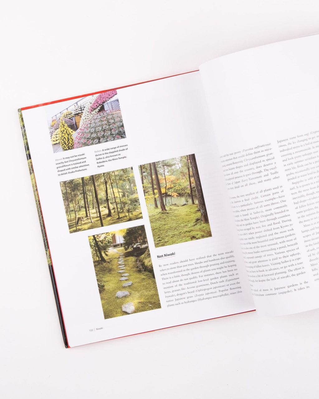 Niwaki Book - NIWAKI